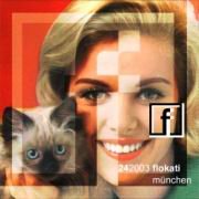 flokati_quader02 Kopie katzenfrau.jpg